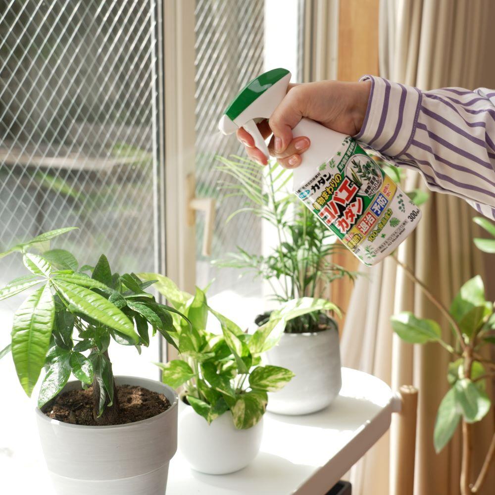 Fumakiller Around Plants Fruit Fly Killer 300ml