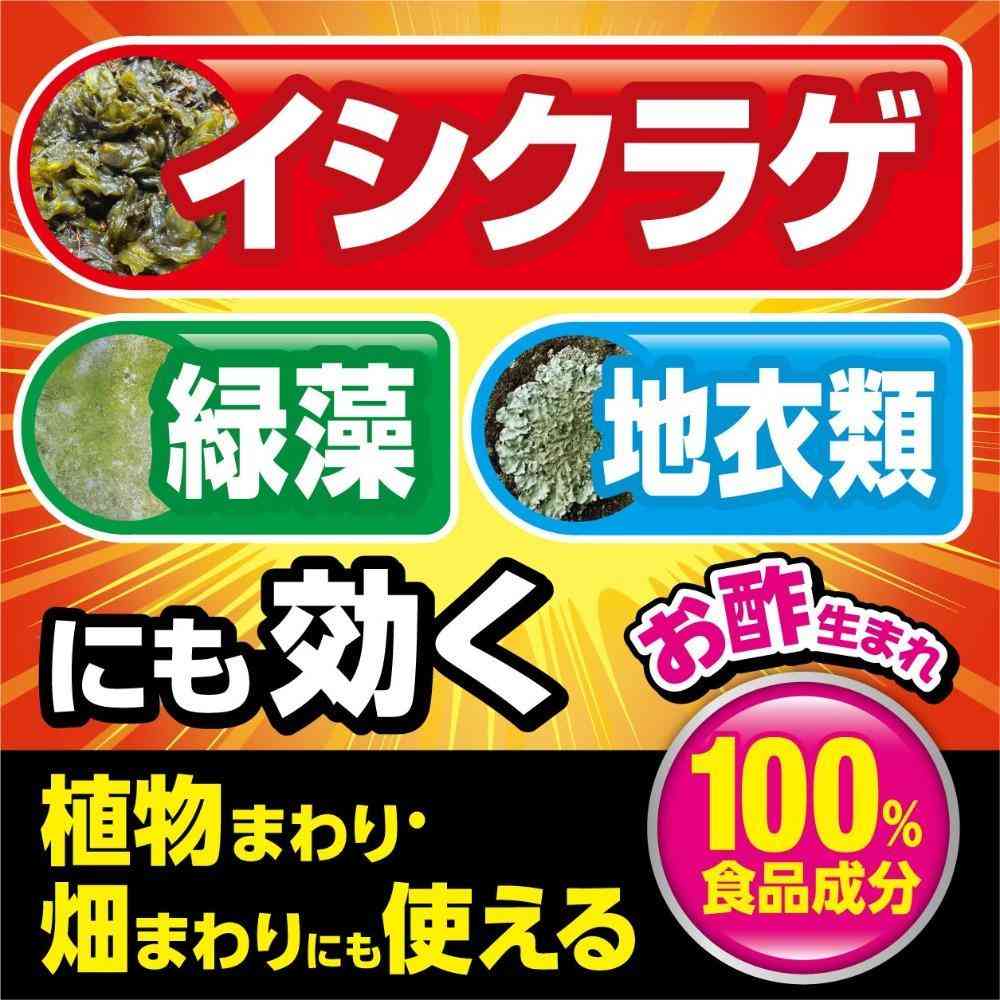 Fumakiller Kadam Weed King Moss Remover 1L