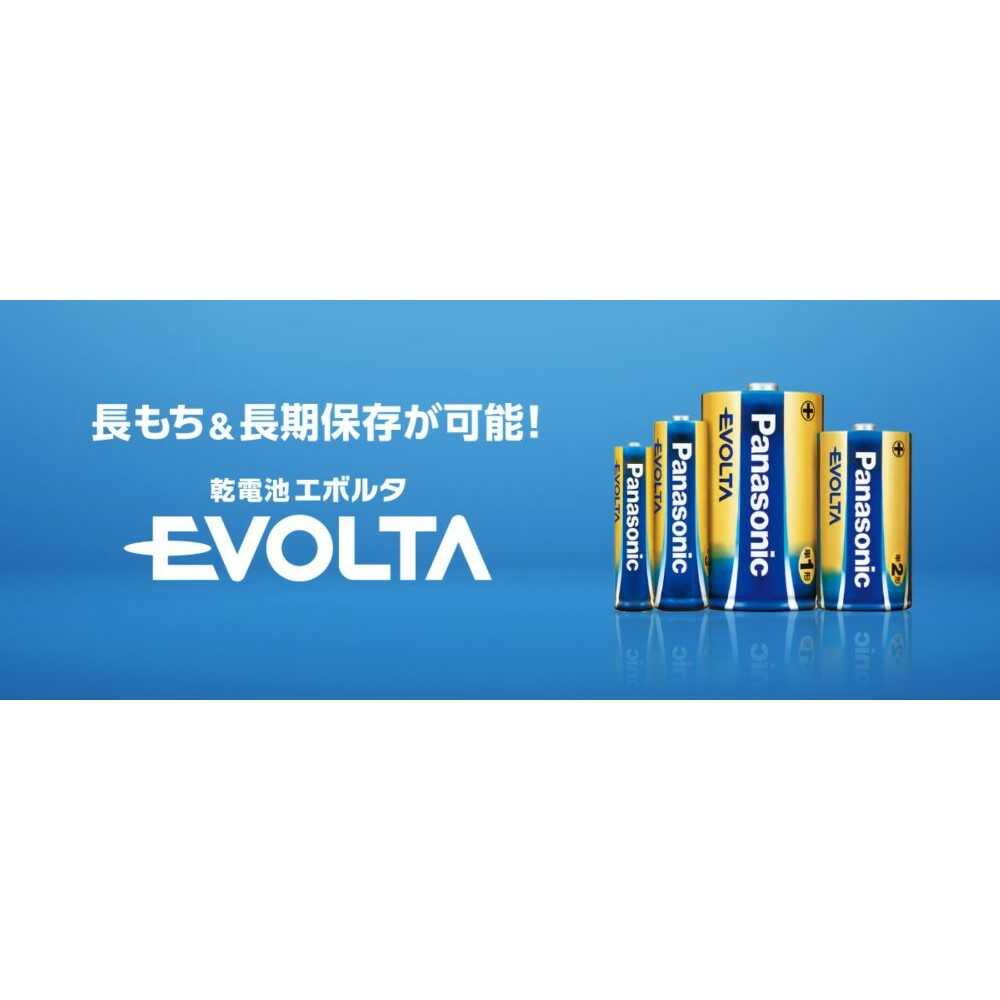 Panasonic Evolta Alkaline Batteries AA x20