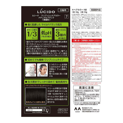 Mandom Lucido One-Push Care Color Natural Black