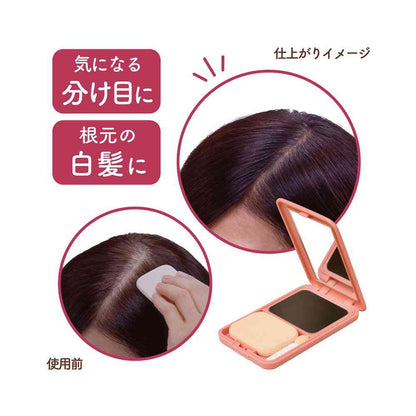 Yanagiya Joslan Hair Cover Foundation Natural Brown 13g
