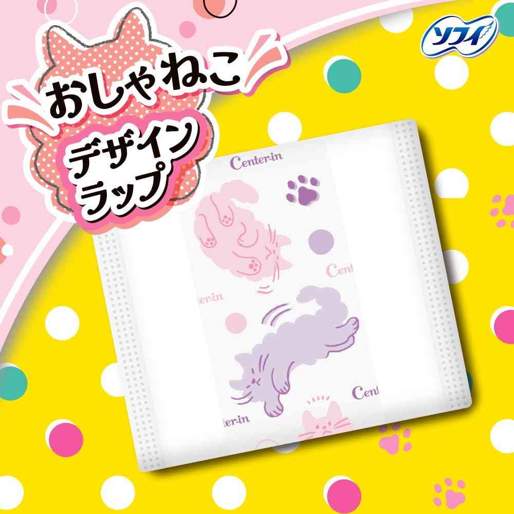 Uni-Charm Center-In Fluffy Type Normal Days without Wings 24 Pieces x 2