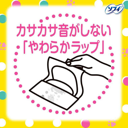Uni-Charm Center-In Fluffy Type Normal Days without Wings 24 Pieces x 2