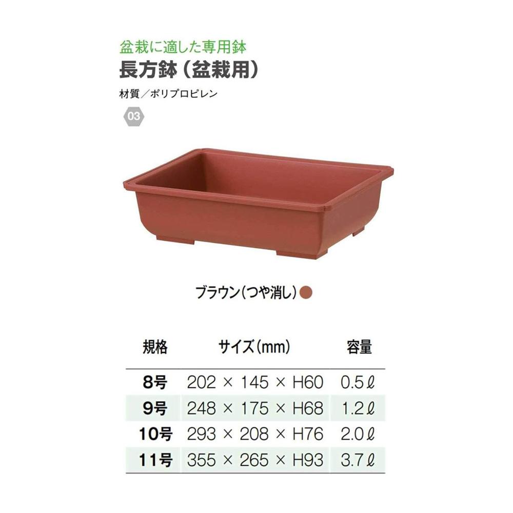 Yamato Plastics Rectangular Pot (for Bonsai) Brown (Matte) 9 Type