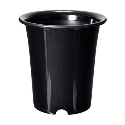 Yamato Plastics Orchid Pot Black 6