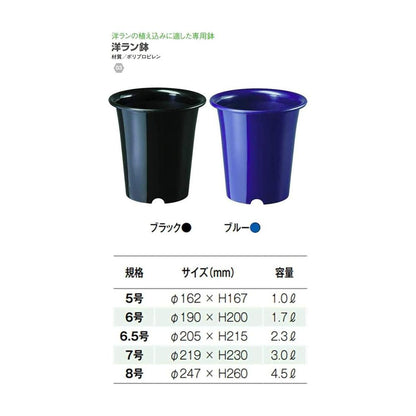 Yamato Plastics Orchid Pot Black 6