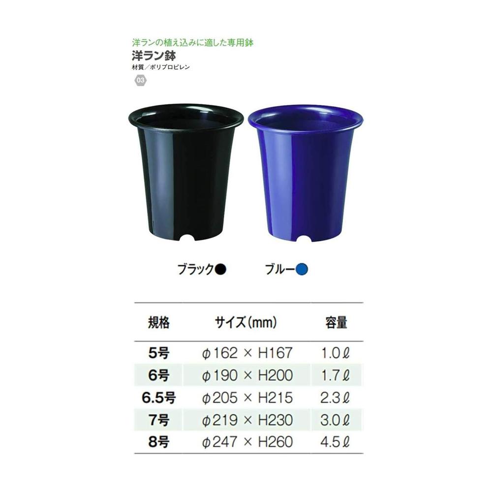 Yamato Plastics Orchid Pot Black 7