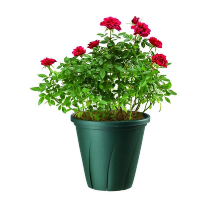 Yamato Plastics Rooting Pot Dark Green 7 Type