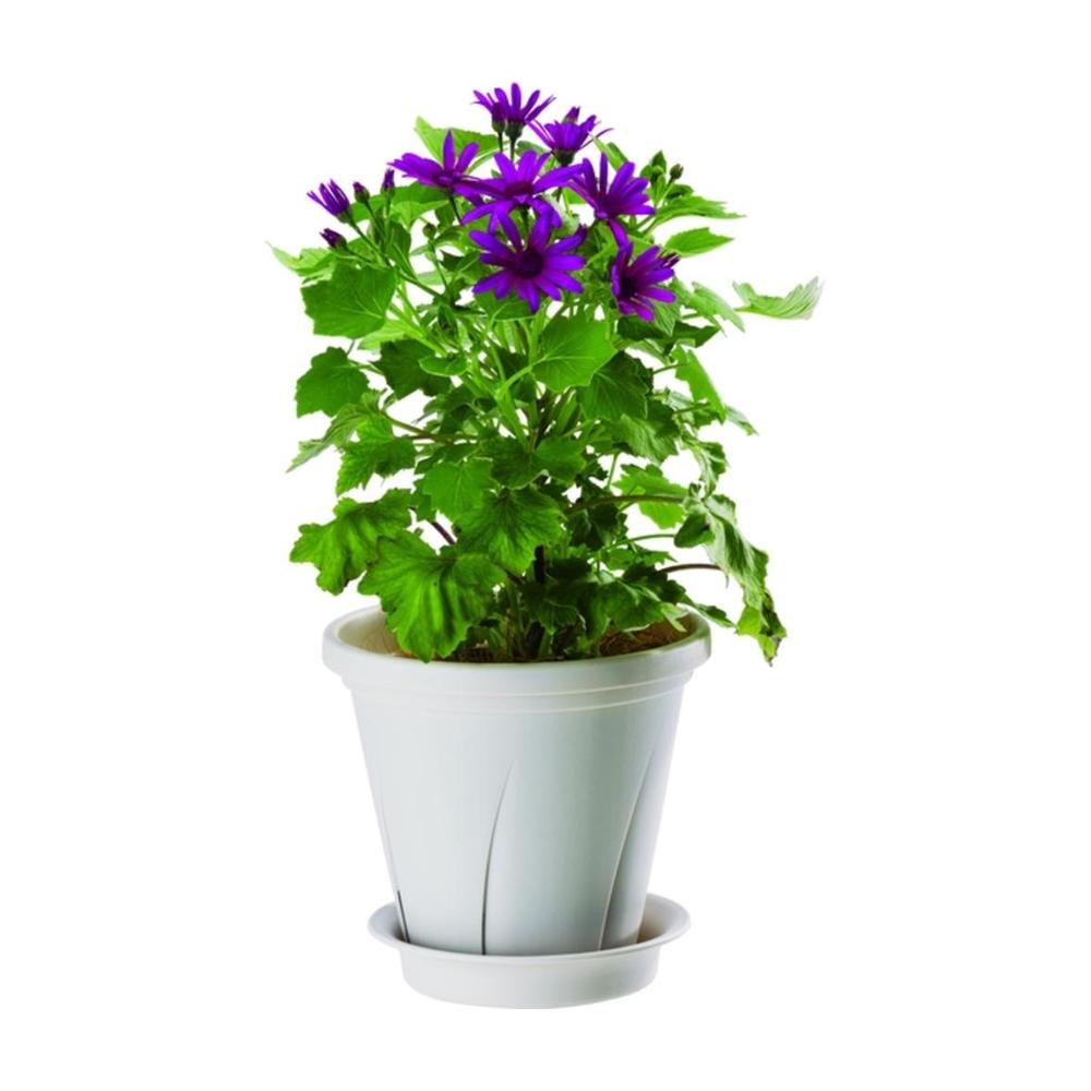 Yamato Plastics Root Pot White for 8 Inch