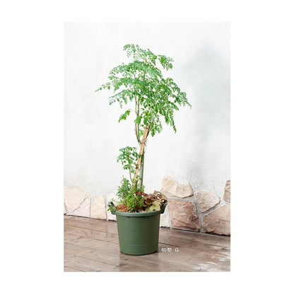 Yamato Plastics Glow Container Green for 40 Type