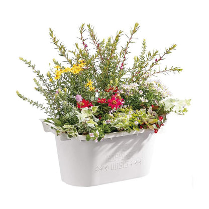 Yamato Plastics Glow Container White Oval 43 Type
