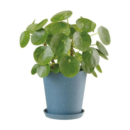 Yamato Plastics Sustainable Pot Marble Blue 22 Type