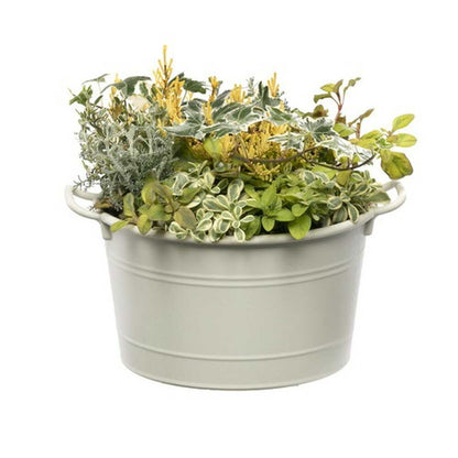 Yamato Plastic Cozy Basket Ivory 20 Type