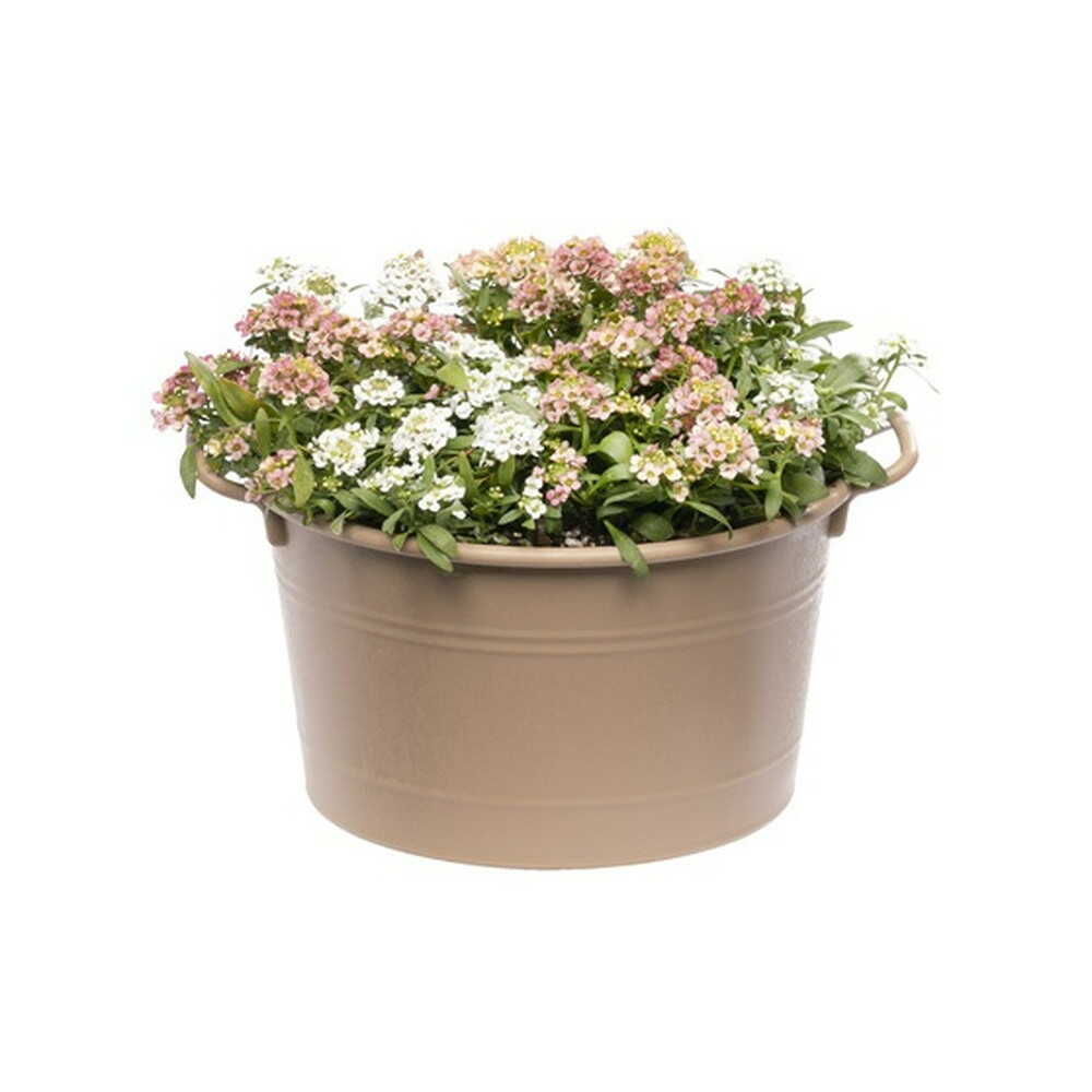 Yamato Plastic Cozy Basket Brown 20 Type