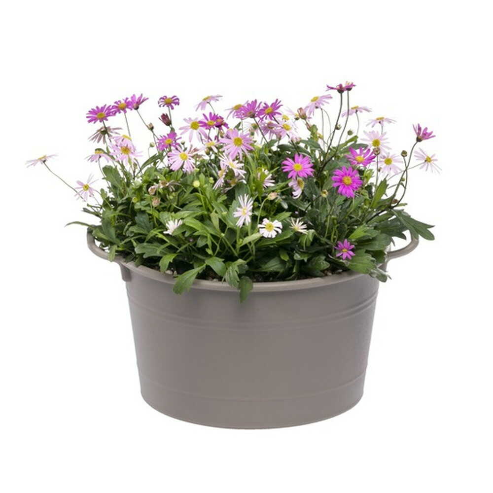 Yamato Plastic Cozy Basket Gray Type 25