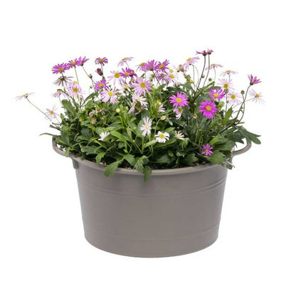 Yamato Plastic Cozy Basket Gray Type 25