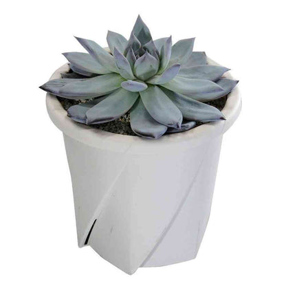 Daiwa Plastic Root Pot Type 9 White