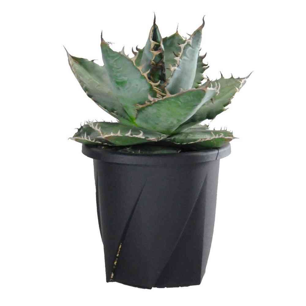 Yamato Plastic Rooting Pot Type 12 Black