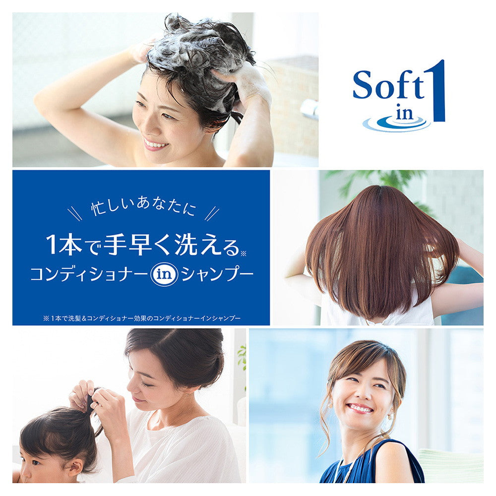 Soft In One Silky Pump 530ML
