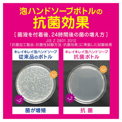 Lion Kirei Kirei Medicated Kitchen Foaming Hand Soap 230ml