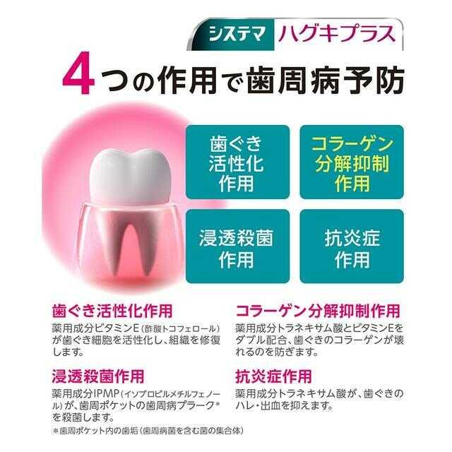 Lion Systema Gums Plus W Toothpaste 95g