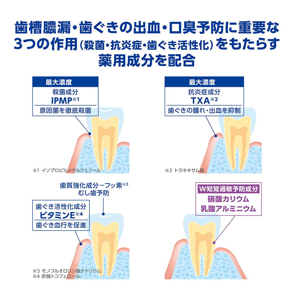 [Quasi-Drug] Dent Health Medicinal Toothpaste Sensitivity Block 85g