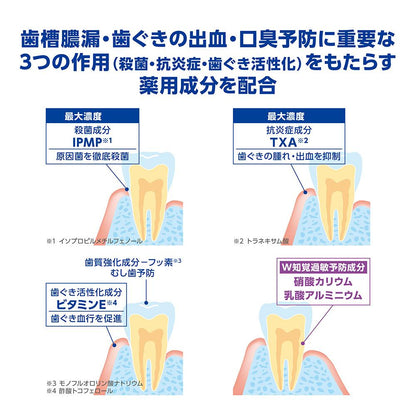 [Quasi-Drug] Dent Health Medicinal Toothpaste Sensitivity Block 85g