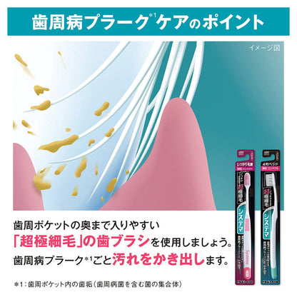 Lion Systema Toothbrush Firm Bristle Type Ultra Compact Regular
