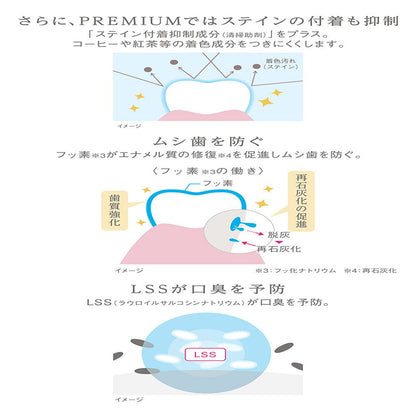 Lion Lightee Toothpaste PREMIUM 53g