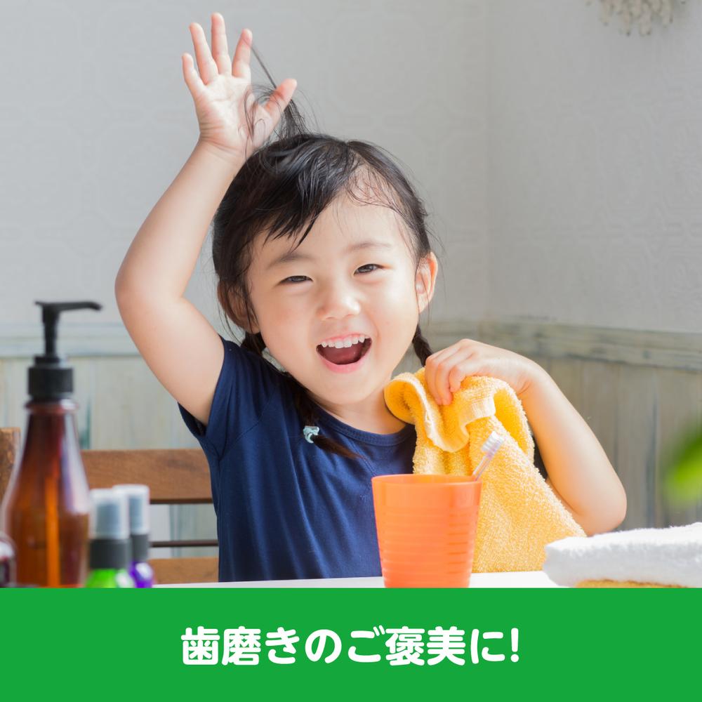 Lotte Xylitol Tablets (Shimajiro) 30g