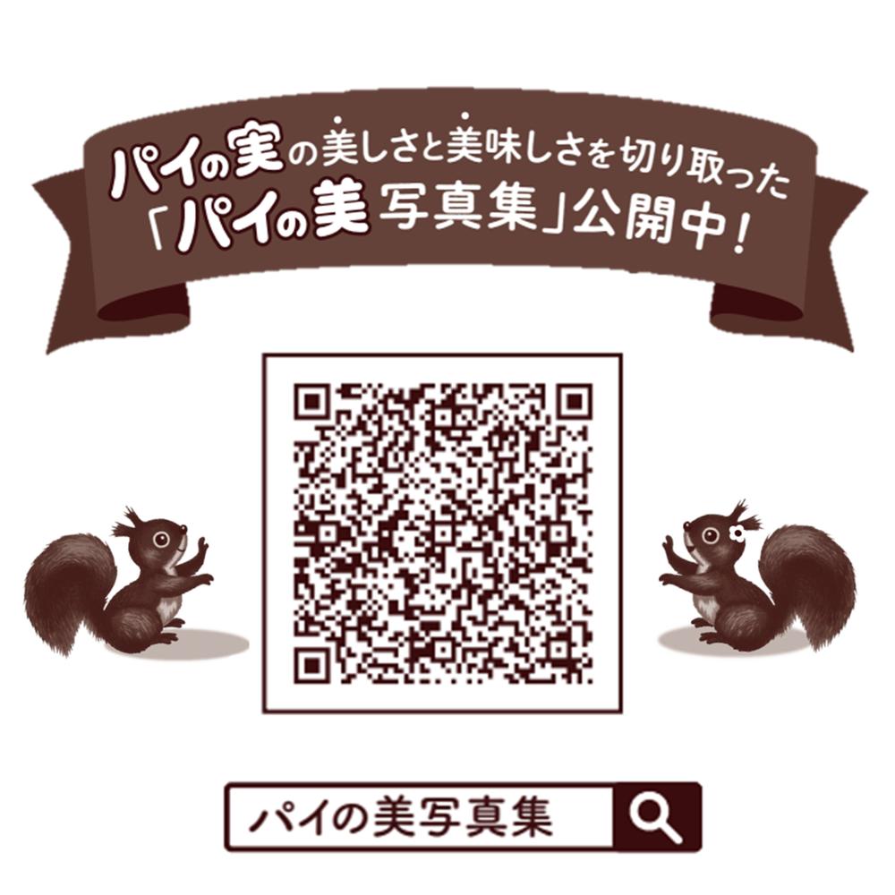 Lotte Pie no Mi 73g