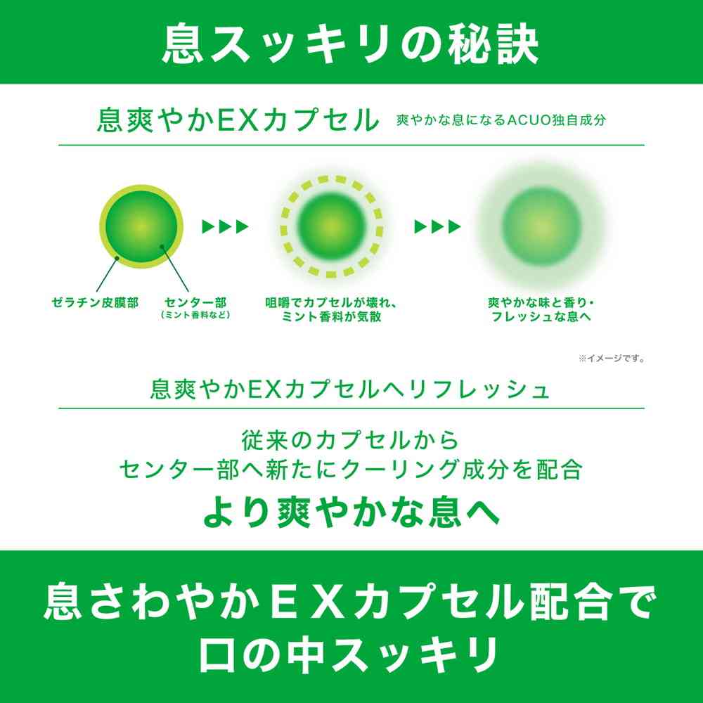 Lotte ACUO Green Mint Bottle 137g