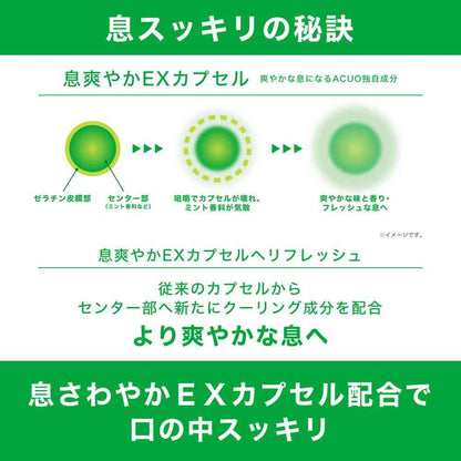 Lotte ACUO Green Mint Bottle 137g