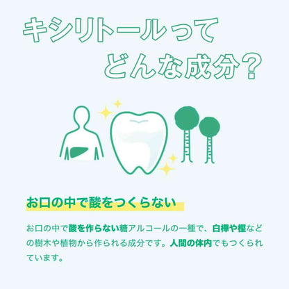 Lotte Xylitol Lime Mint Bottle 133g