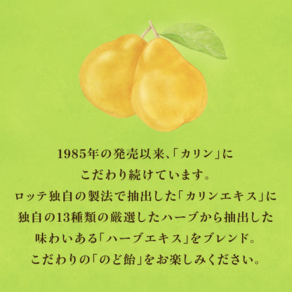 Lotte Throat Candy (Bag) 102g