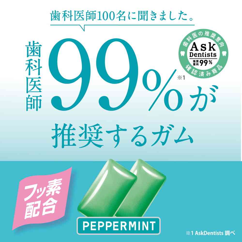 Lotte Xylitol Gum + Fluoride <Peppermint> Slim Bottle 125g
