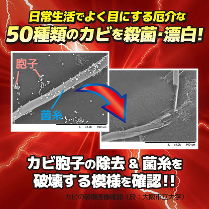 Rinrei Ultra Hard Cleaner for Mold 200g