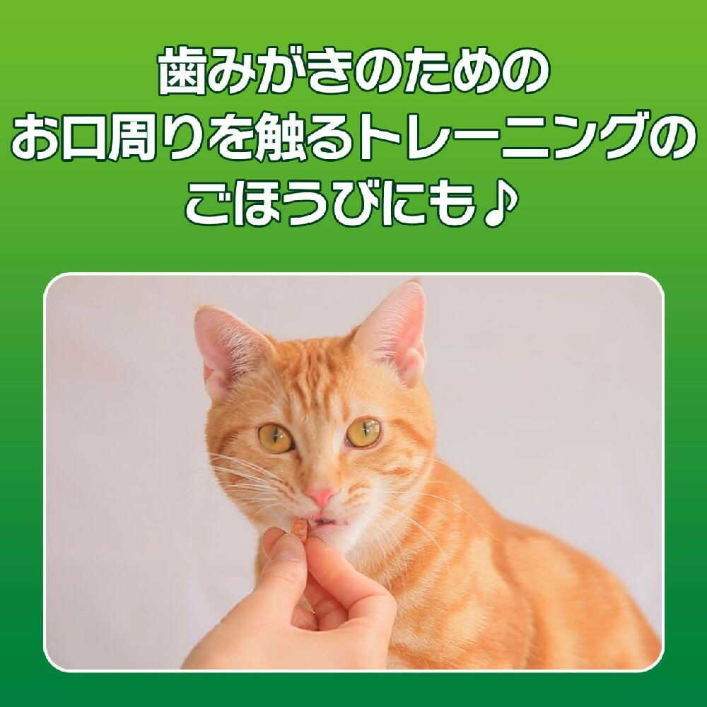 PETKISS Cat Dental Treats Chicken Jerky 20g