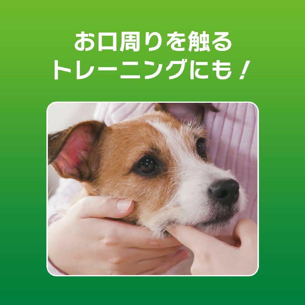 PETKISS Toothpaste Gel with Leaf Scent