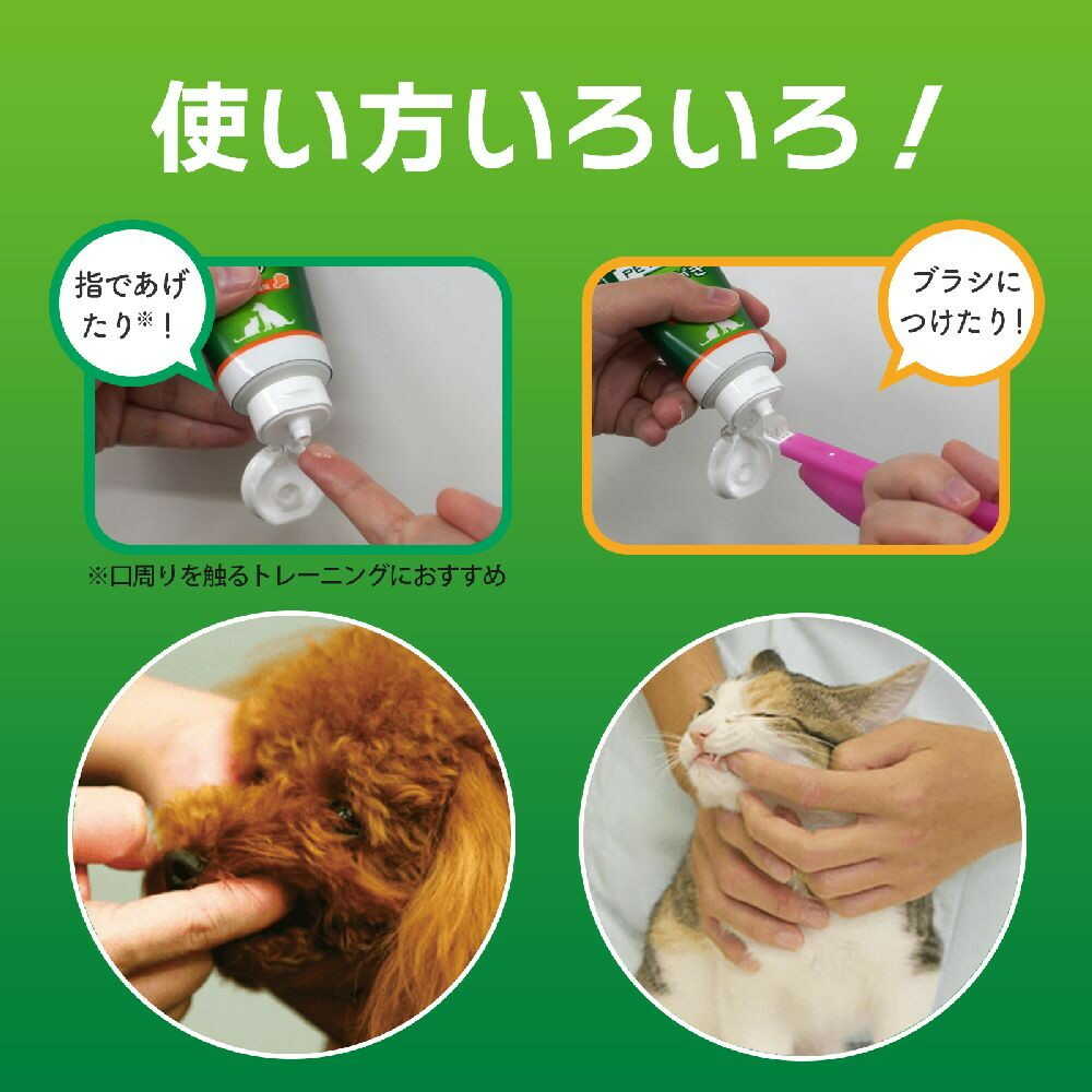 PETKISS Toothpaste Gel with Leaf Scent