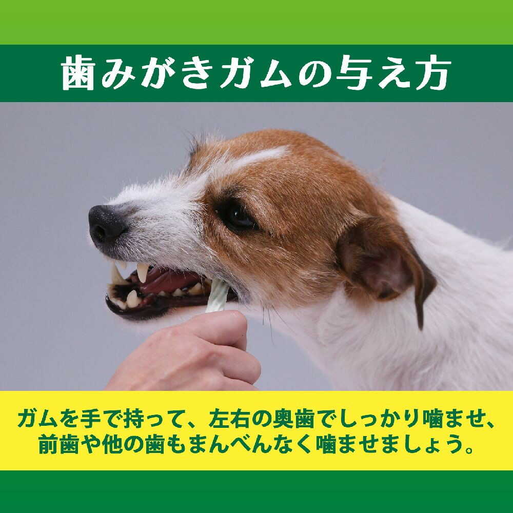 Lion Pet Kiss Post-Meal Dental Chewing Gum for Small Dogs 135g