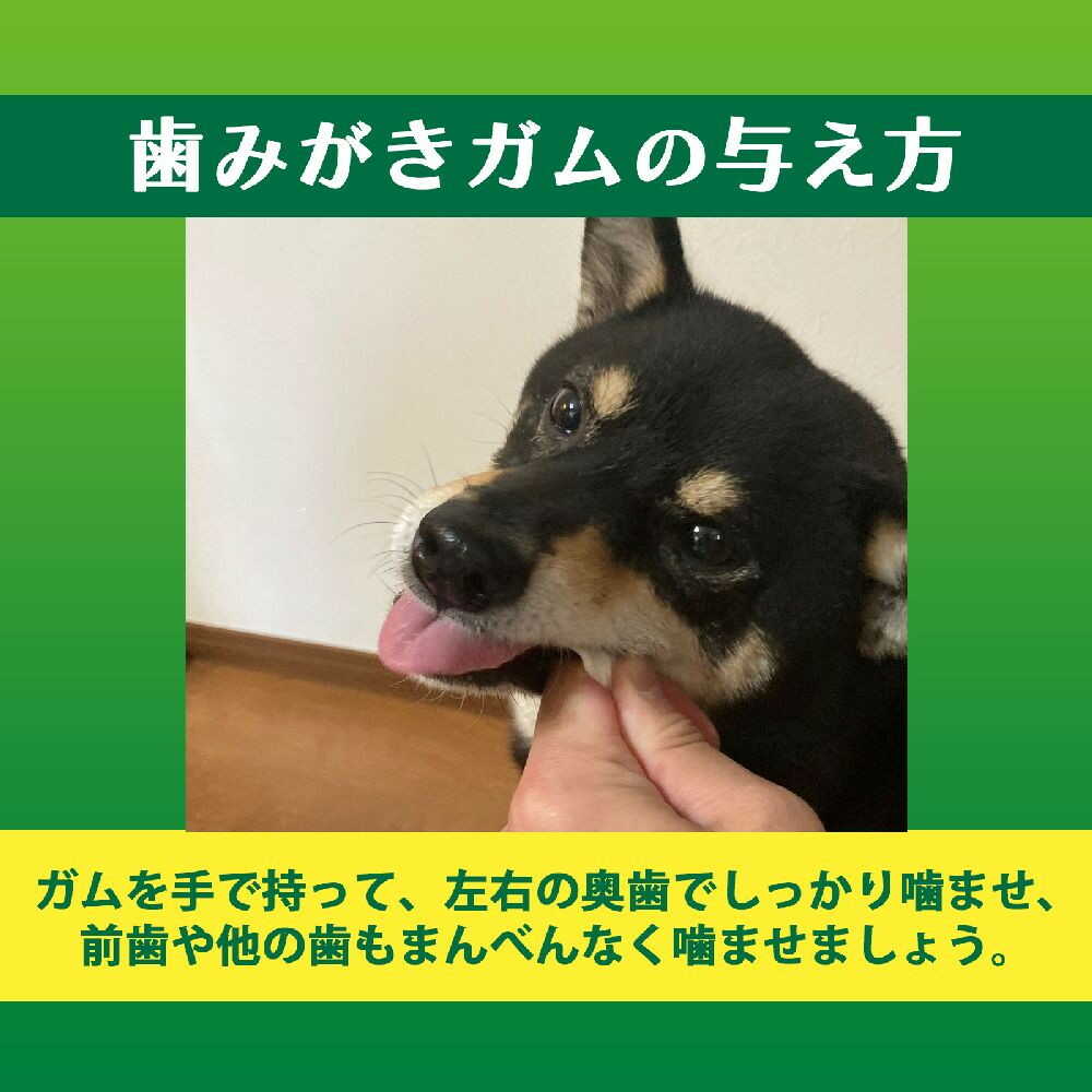 Lion Pet Kiss Soft Type Tooth Cleaning Chewing Gum for Small Dogs