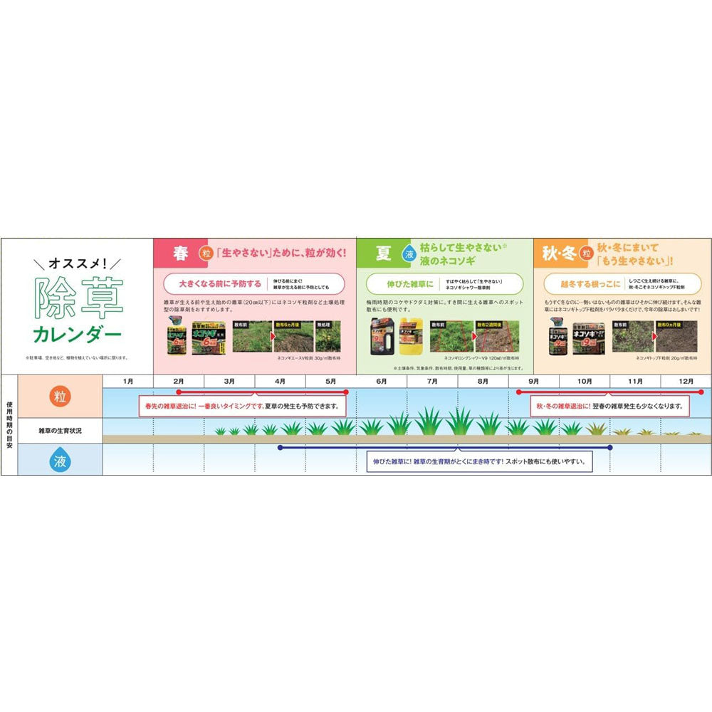 Rainbow Chemicals Nekosogi Shower AL V6 Eco Pack 2L