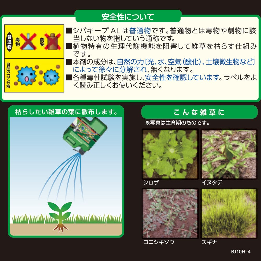 Rainbow Chemicals Shiba Keep AL 4L