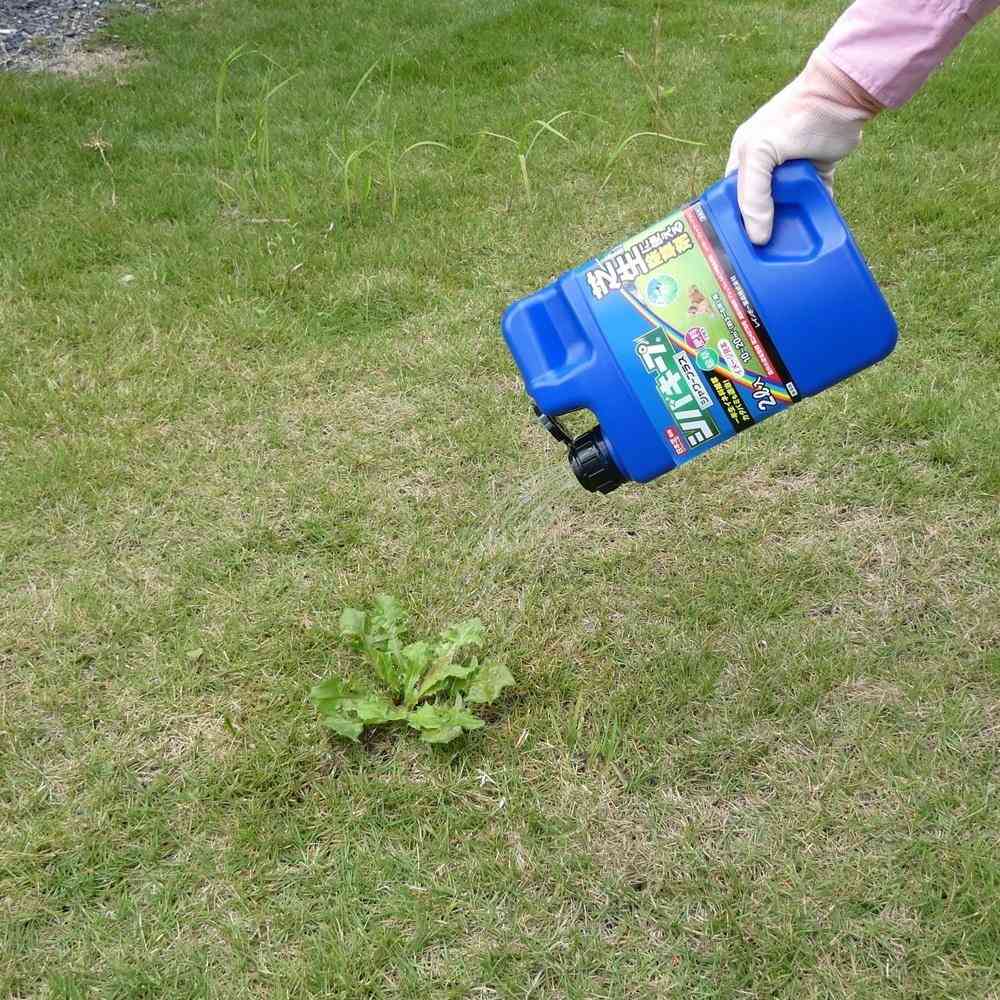 Rainbow Chemicals Shiba Keep Shower Plus 2L (Pesticide)