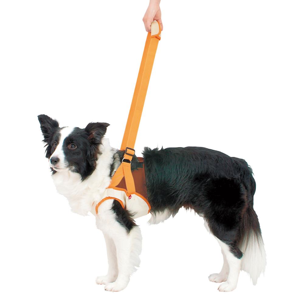 Elderly Dog Care Walking Support Harness Front Leg K 2L