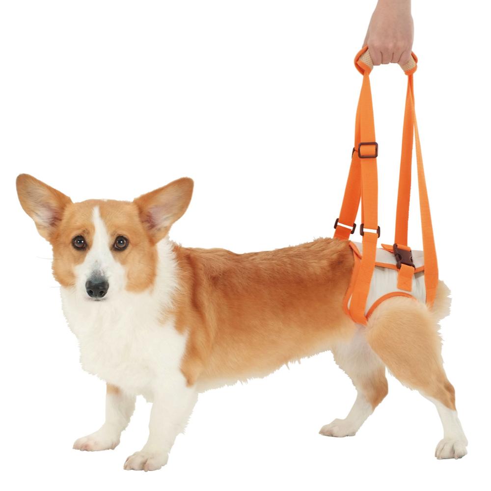 Elderly Dog Care Walking Support Harness Back Leg K L