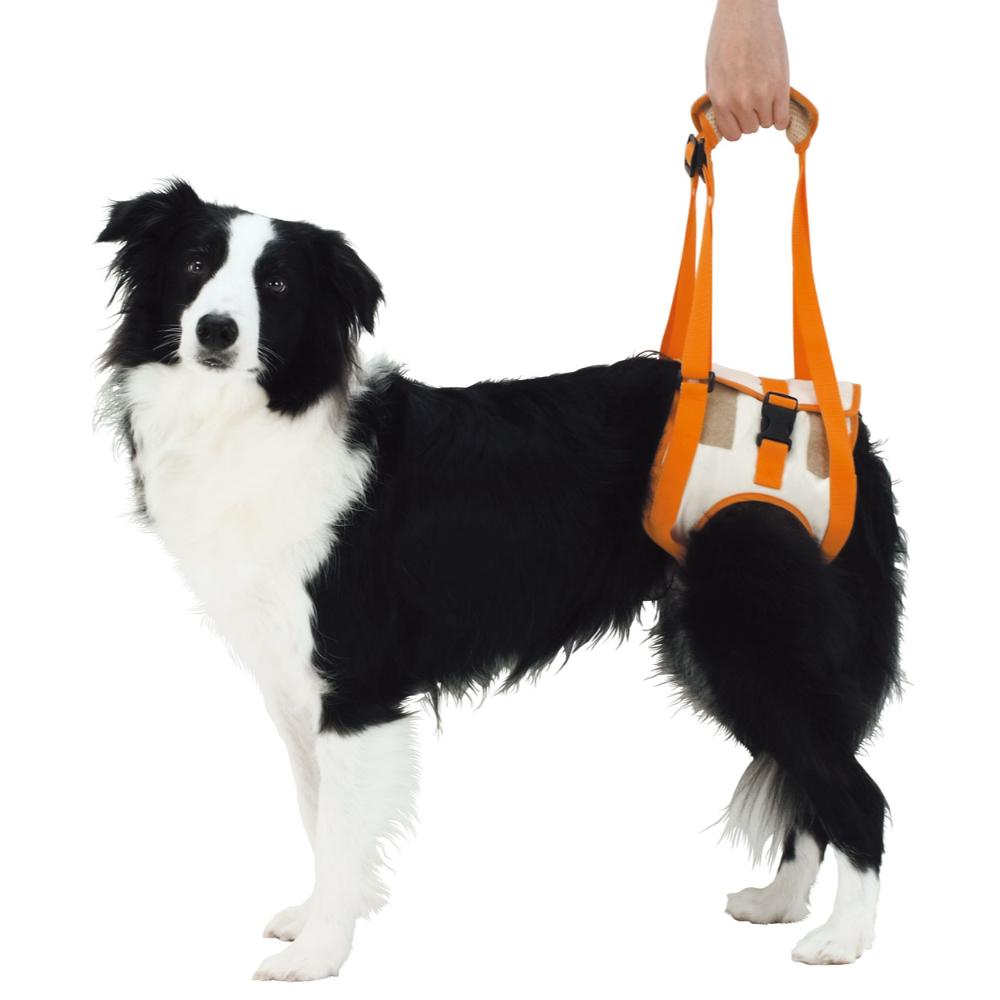 Senior Dog Care Walking Support Harness Rear Legs K 2L