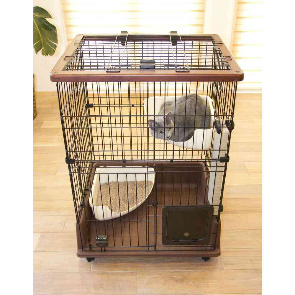 necoco Cat Room Circle
