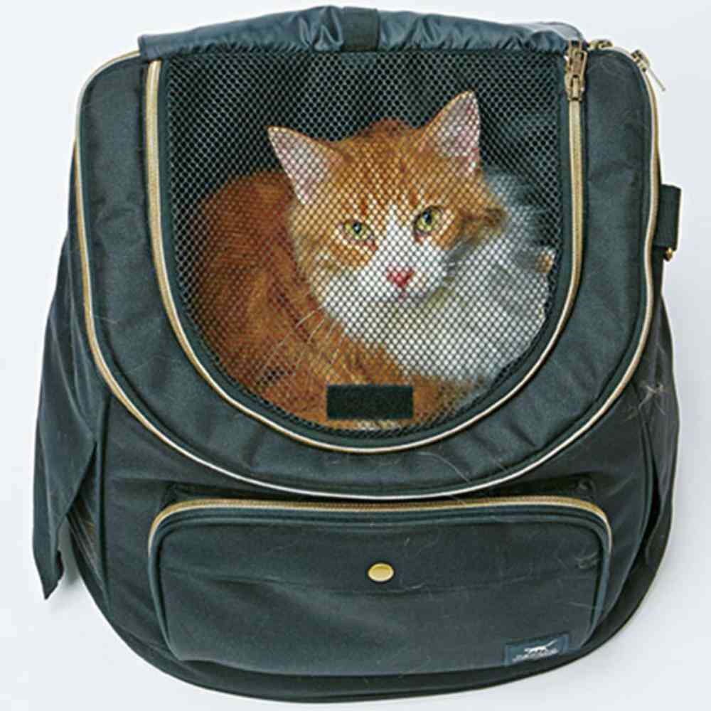 necoco Backpack Carrier Black